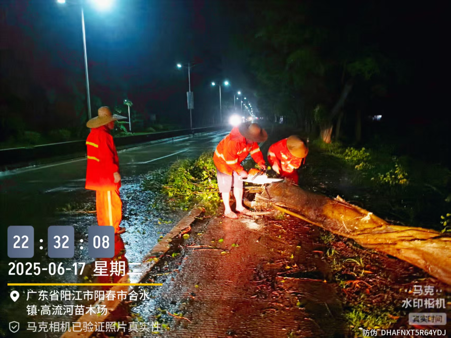 3225K十700m清理斷樹.jpg